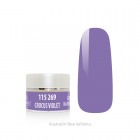 BAREVNÝ GEL - CROCUS VIOLET