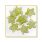 FIMO - KARAMBOLA
