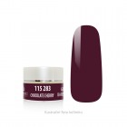 BAREVNÝ GEL - CHOCOLATE CHERRY