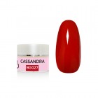 Barevný gel - CASSANDRA