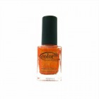 Lak na nehty č.959 - Sparkle and Soar - sleva -72%